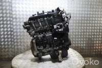 Двигатель  Citroen Berlingo 2  1.6  Дизель, 2010г. 9h03 , artHMP119532  - Фото 4