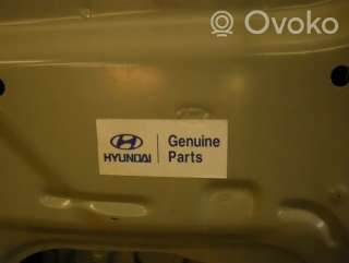 Дверь передняя правая Hyundai Starex 2008г. artHIR10769 - Фото 6