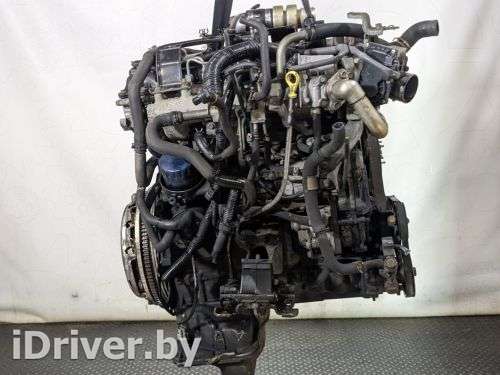Двигатель  Nissan Navara D40 2.5 DCI Дизель, 2009г. YD25DDTI  - Фото 1