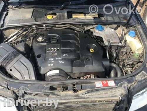 Двигатель  Audi A4 B6 1.9  Дизель, 2002г. avb , artDAV177657  - Фото 1