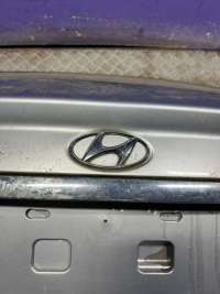  Эмблема к Hyundai Sonata (EF)  Арт 71916562