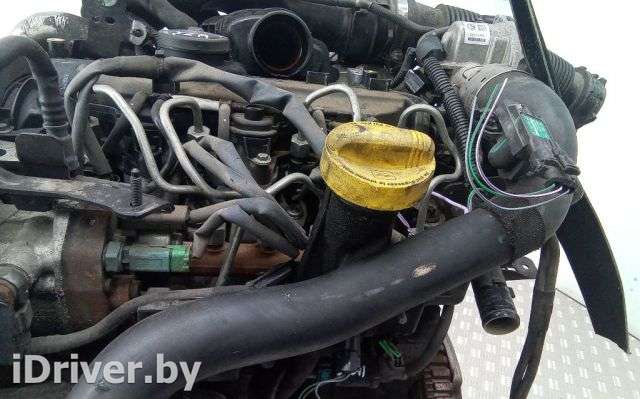 Щуп двигателя Renault Clio 3 2011г.  - Фото 1