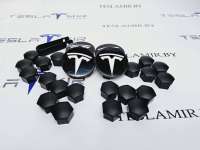 6005879-00,1027010-00,6005879-04 Колпачок литого диска к Tesla model S Арт 20299