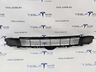 1085927-00 Заглушка (решетка) в бампер Tesla model 3 Арт 19373, вид 1