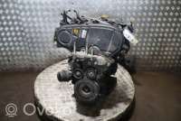 Двигатель  Fiat Bravo 2 1.6  Дизель, 2008г. 198a2000 , artHMP99370  - Фото 4